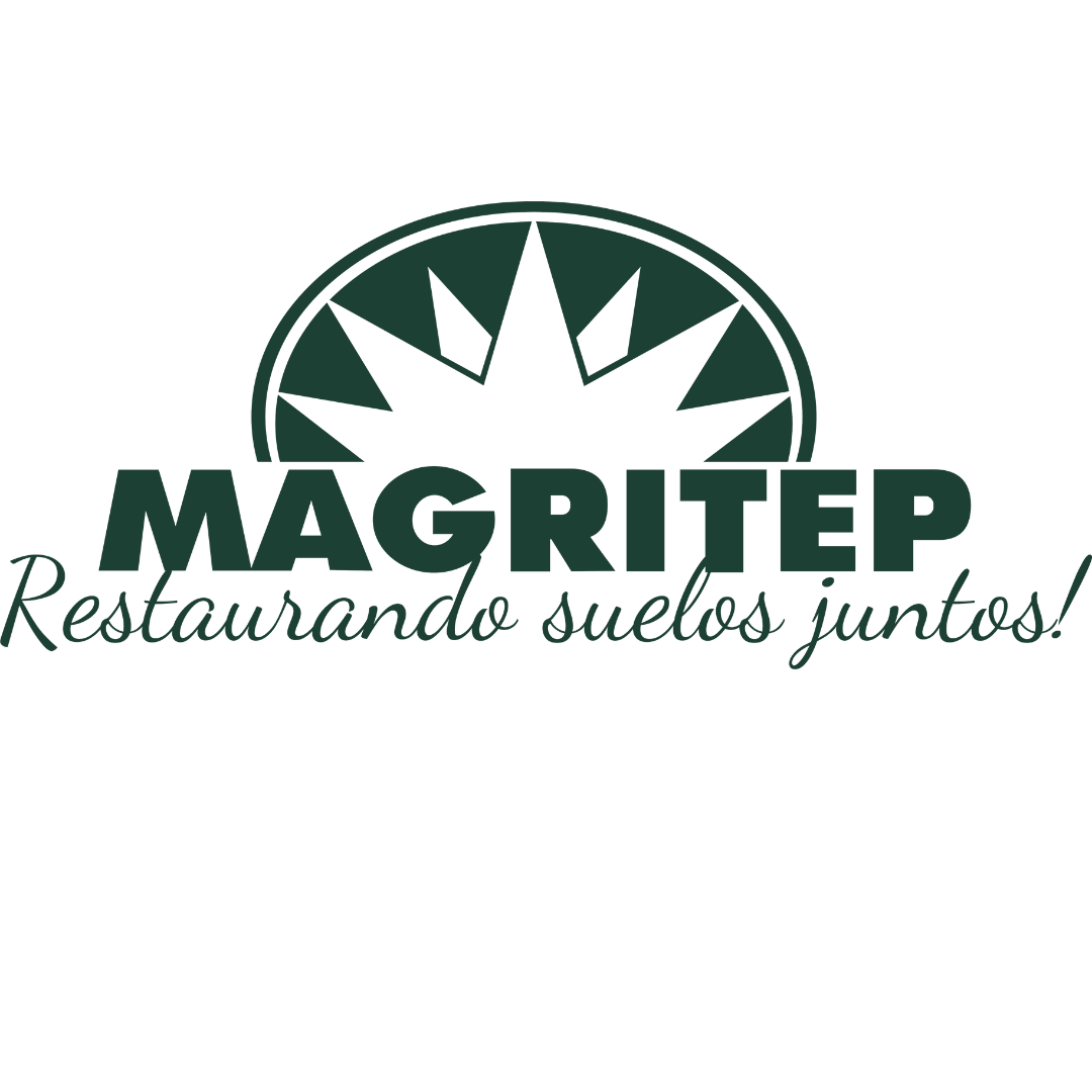 Diseño sin título - 2024-10-03T141800.586